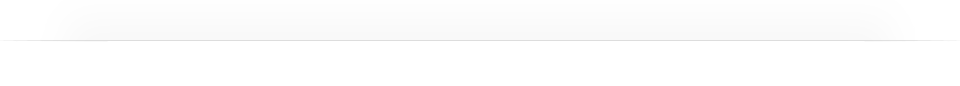 Article divider